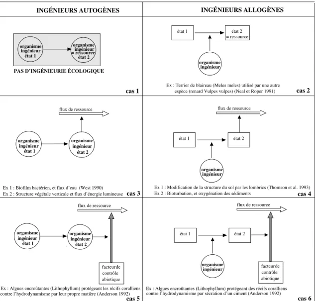 Figure 7 : Types conceptuels d’ingénieurs de l’écosystème (d’après Jones et al. 1994, modifié)