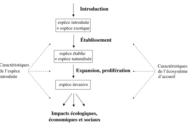 Figure 11 : De l’espèce introduite à l’espèce invasive : stades d’une invasion biologique et facteurs d’influence