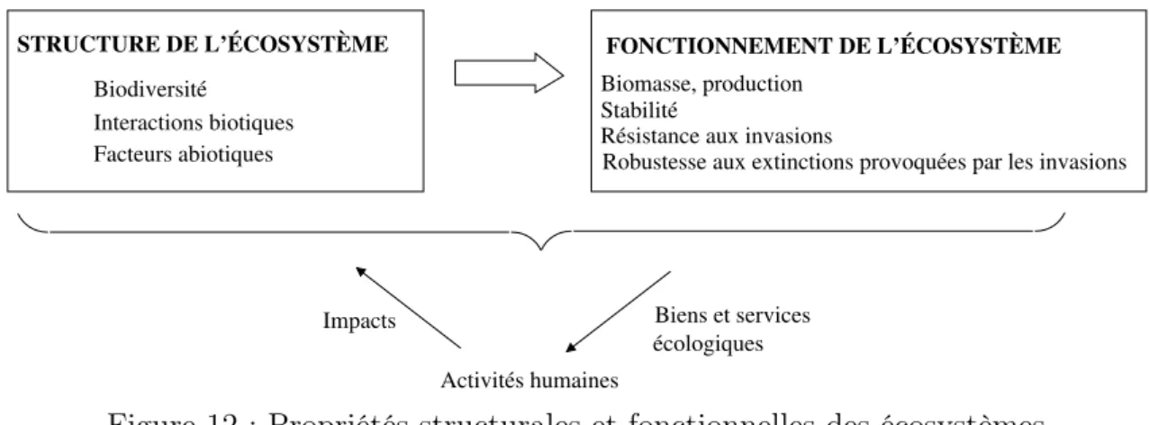 Figure 12 : Propriétés structurales et fonctionnelles des écosystèmes, et activités humaines