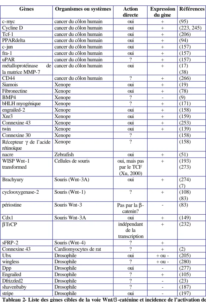 Tableau 2- Liste des gènes cibles de la voie Wnt/β -caténine et incidence de l’activation de  cette voie sur leur expression