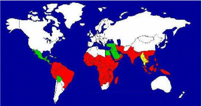 Figure 8- Carte de la distribution géographique du paludisme dans le monde. 