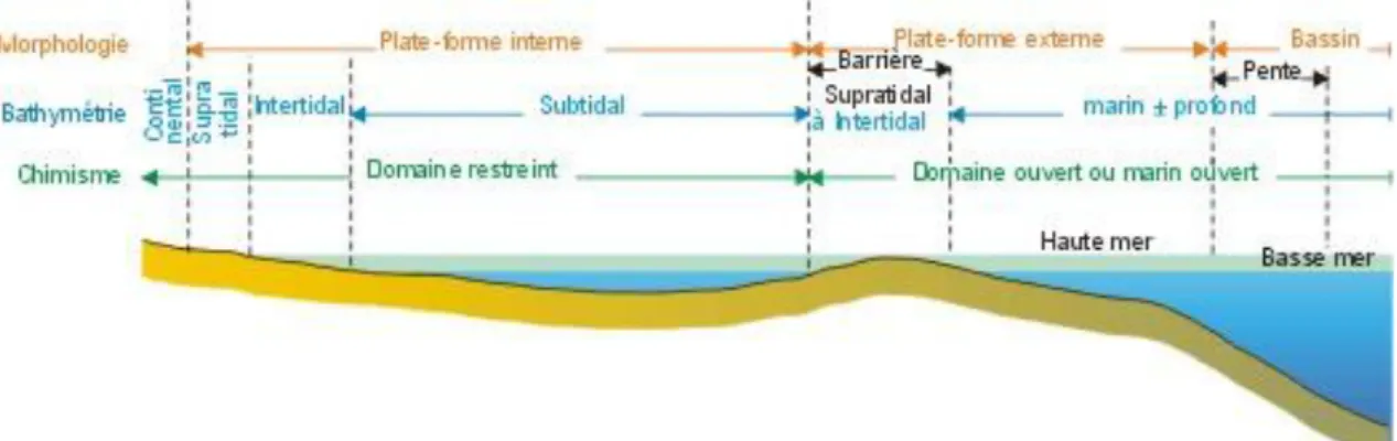 Figure 2-5: Répartition des environnements de dépôt sur une plate-forme avec barrière (source  http://planetesciences.fr.gd/S-e2-dimentologie.htm)