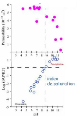 Figure 2-15: Représentations graphiques de l’influence du pH sur la concentration de la calcite et la  perméabilité (Guichet, 2002)