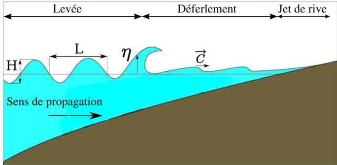 Fig. I.4 – Sch´ema de la propagation d’une houle monochromatique en zone littorale.