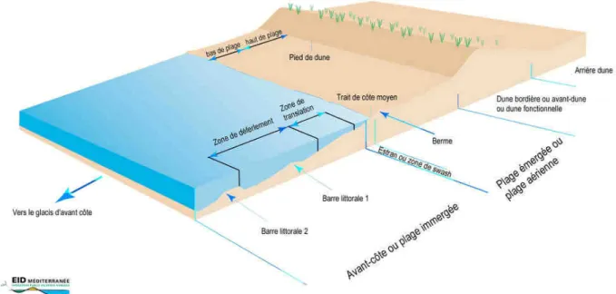 Fig. I.8 – Morphologie de la zone litorale. Source : EID-M´editerran´ee.