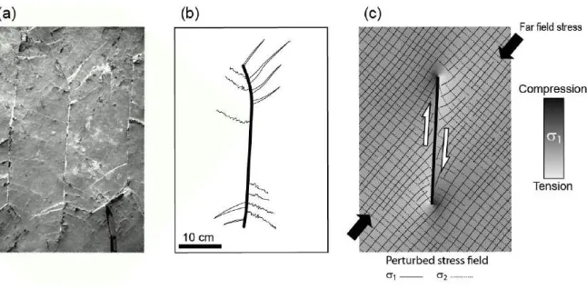 Figure  1.  Comparison  between  (a)  photo  of  secondary  features  such  as  tensile  cracks  and  stylolites  observed  around  a  reactivated  fracture  in  limestone  at  Les  Matelles,  southern  France  (Rispoli,  1981;  Petit  and  Mattauer,  1995
