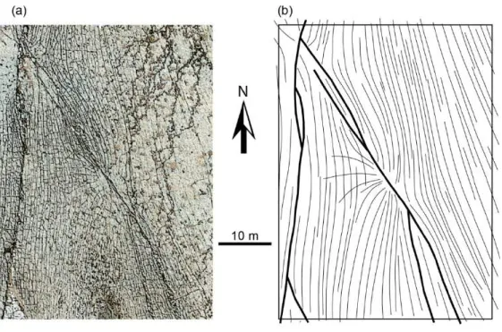 Figure 8: Example from Nash Point, UK. (a) Air photo and (b) interpretation of the outcrop showing fault network (thick black  lines) and associated complex pattern of joints (thin black lines)