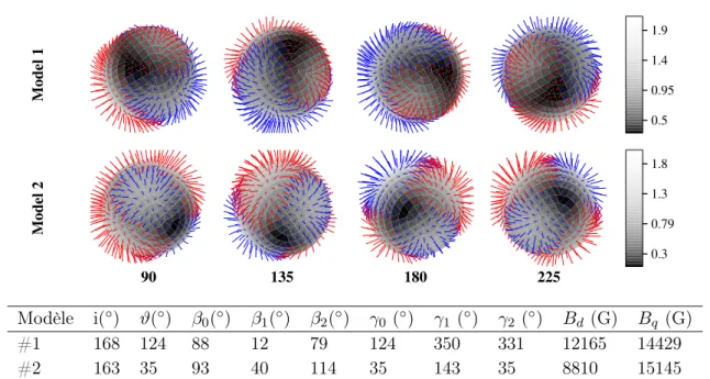 Fig. 3.12 – Topologie magnétique de β CrB reconstruite par Bagnulo et al. (2000) à partir de données spectro-polarimétriques