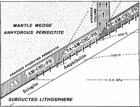 Figure 1.2.9: Hydrous mineral assemblages in the dragged hydrated peridotite layer at the base of the mantle wedge,