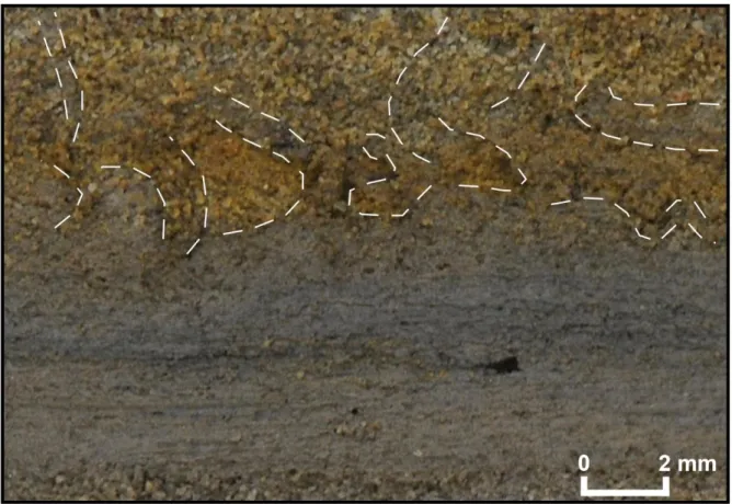 Table 1 – Composition of the 1755 tsunami deposits in Los Lances in % (thin sections observed through a polarising  microscope)