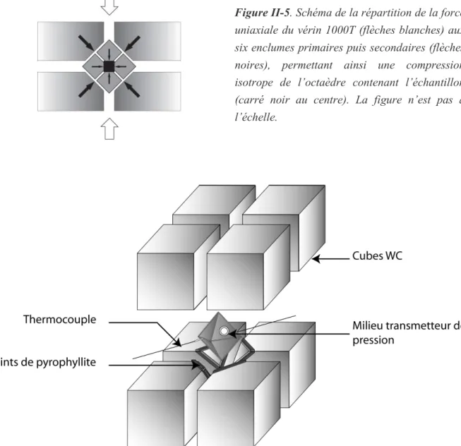 Figure II-5. Schéma de la répartition de la force  uniaxiale du vérin 1000T (flèches blanches) aux  six enclumes primaires puis secondaires (flèches  noires),  permettant  ainsi  une  compression  isotrope  de  l’octaèdre  contenant  l’échantillon  (carré 