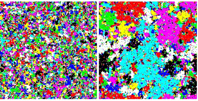 Figure 6 : Typical spin configurations produced by Monte Carlo simulations for the pure eight-state Potts model (on the left) and the random-bond model (on the right).