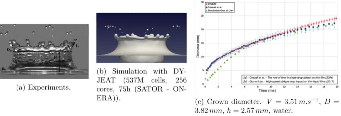 Figure 3.12c is focused on the ability of DYJEAT to compute accurately the crown diameter after the