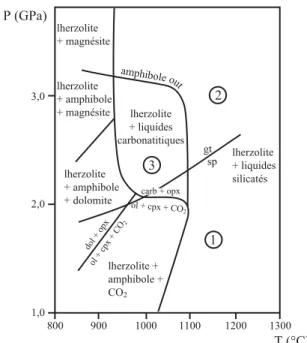 Figure 1.19. Diagramme de phase d'une lherzolite en  présence de CO 2  et H 2 O, d'après Olafsson et Eggler  (1983) et Wallace et Green (1988)