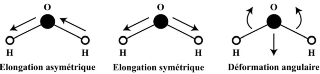 Figure II-17 : Schéma des différents types de vibrations d’une molécule d’eau. 