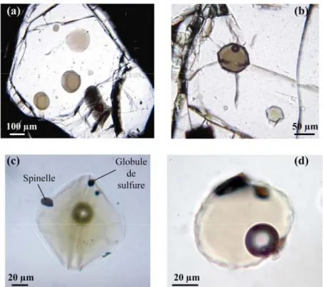 Figure 1. Photographies en lumière transmise d'inclusions magmatiques primaires piégées dans des  cristaux d'olivine