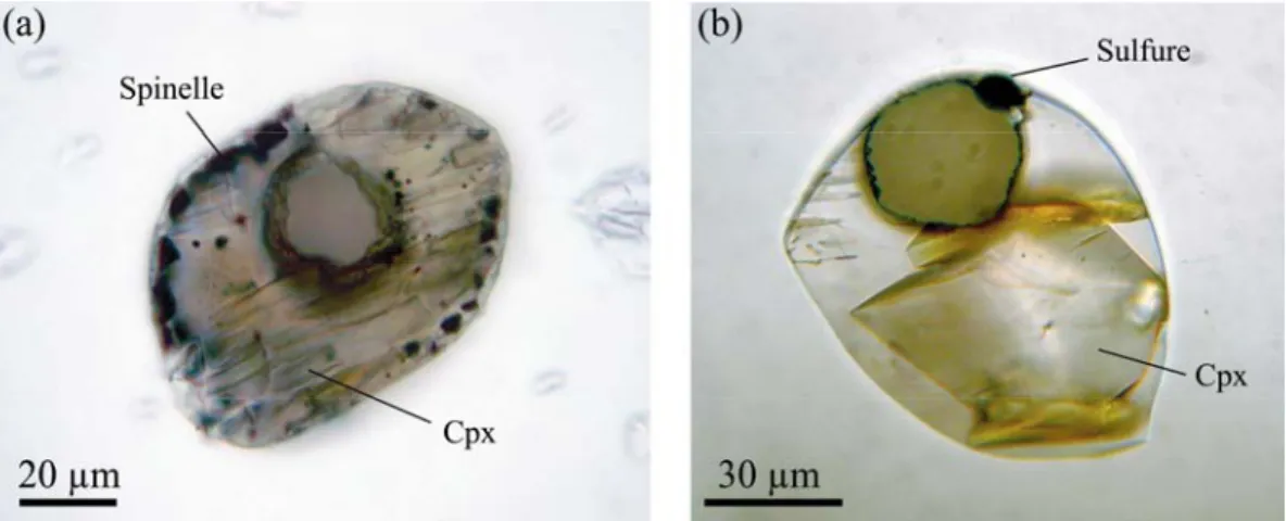 Figure 2. Photographies en lumière transmise d'inclusions magmatiques primaires cristallisées  piégées dans des cristaux d'olivine des échantillons (a) RUE77 du Piton de la Fournaise et (b) du  Piton des Neiges (île de la Réunion)