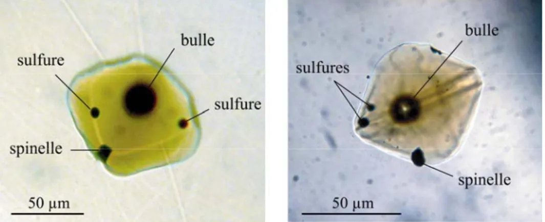 Figure 19. Photographies en lumière transmise d'inclusions magmatiques primaires contenant des  globules de sulfures dans l'échantillon picritique du Piton de Caille (Piton de la Fournaise, île de la  Réunion)