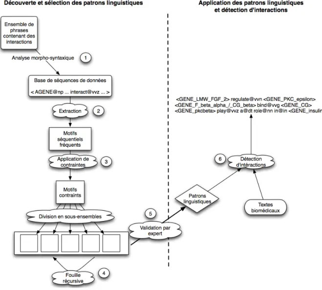 Figure 2.2 – Schéma général pour l’apprentissage de patrons séquentiels pour l’extraction d’information [PCK + 09].
