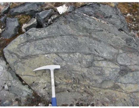 Figure 4. Structures de laves en coussins préservées dans quelques affleurements des échantillons  d’amphibolites âgées de ~3700 Ma