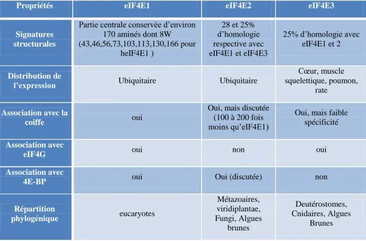 Table 1 : Caractéristiques des trois classes d'eIF4E 