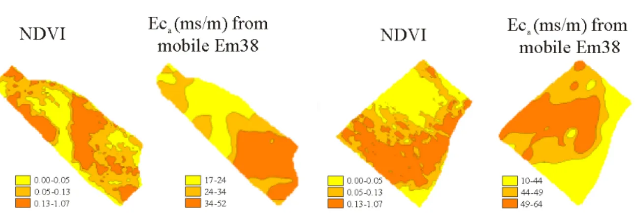 Figure  4 :  Cartographie  du  NDVI  et  de  la  conductivité  apparente  (ECa)  du  sol  pour  deux  parcelles situées sur des unités pédologiques différentes