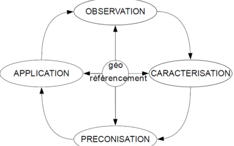 Figure 1: Diagramme fonctionnel d'une démarche de gestion modulée, d'après McBratney  et  Taylor  (2000)
