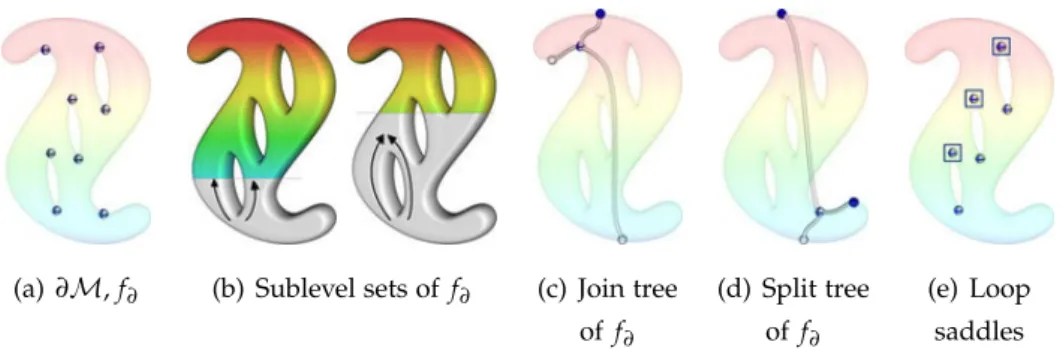 Figure 4 . 13 – Identifying loop saddles: f ∂ and its saddle points (a). Loops are “absorbed”