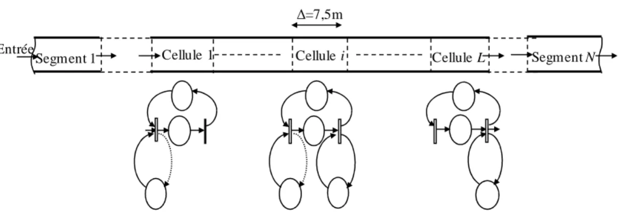 Figure 11 Modélisation microscopique RdPCV 