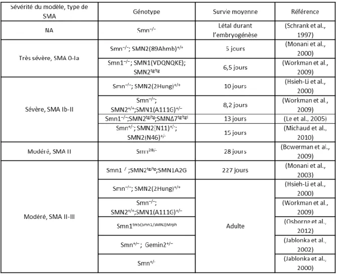 Tableau 4 : modèles murins SMA.