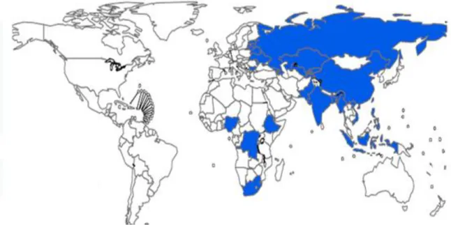 Figure 5.  Les 27 Pays avec le nombre majeur de cas de MDR-TB (WHO Progress Report  2011)