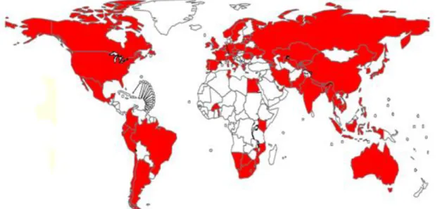 Figure 6.  Pays qui ont eu au moins un cas de XDR-TB avant fin mars 2011 (WHO Progress  Report 2011)