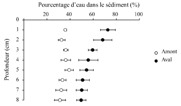 Figure  15-  Contenu  en  eau  dans  les  sédiments  prélevés  en  amont  (en  blanc)  et  en  aval  (en  noir) de la STEP, représenté par la moyenne de triplicats et de l’écart type pour le pourcentage d’eau  (m/m)
