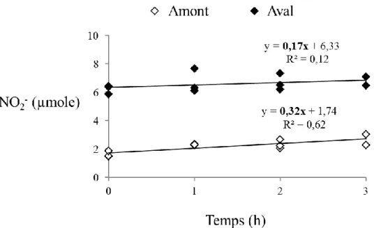 Figure  17  -  Variation  temporelle  (h)  de  la  quantité  totale  de  nitrite  (en  µmole)  dans  l’eau  surnageante  pour  le  sédiment  prélevé  en  amont  ou  en  aval  de  la  STEP  SAV  (triplicats)