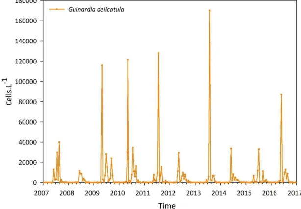 Figure  0-4.  Dynamique  temporelle  de  Guinardia delicatula  à  la  station  SOMLIT-Astan  durant  la  période  2007- 2007-2016