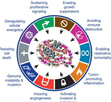 Figure 1. Les dix caractéristiques biologiques de la cellule tumorale  d'après Hanahan  et Weinberg ,  Cell (2011)