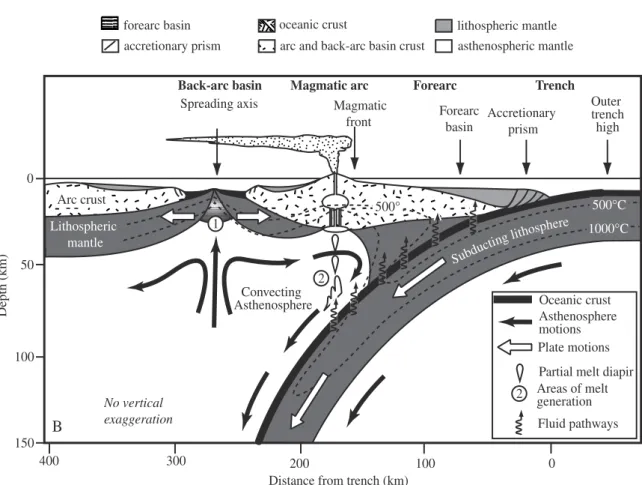 Figure I-2 : Section schématique des premiers 150 km d’une zone de subduction. Extrait de Stern et al