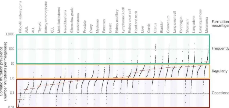 Figure 1: Estimation du répertoire de néoantigènes à partir de 7042 cancers humains.  