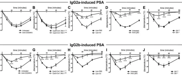 FIG 2. Basophils, mast cells, monocytes/macrophages, and neutrophils contribute differentially to IgG- IgG-induced PSA models
