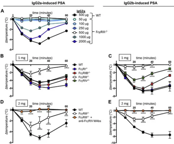 FIG 4. High doses of IgG 2 antibodies reveal FcgRIV contribution to IgG 2 -induced PSA
