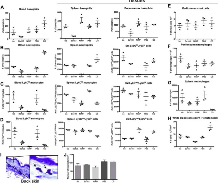 FIG E1. Effects of depletion strategies on myeloid cell populations: cell counts. WT mice were treated with indicated reagents