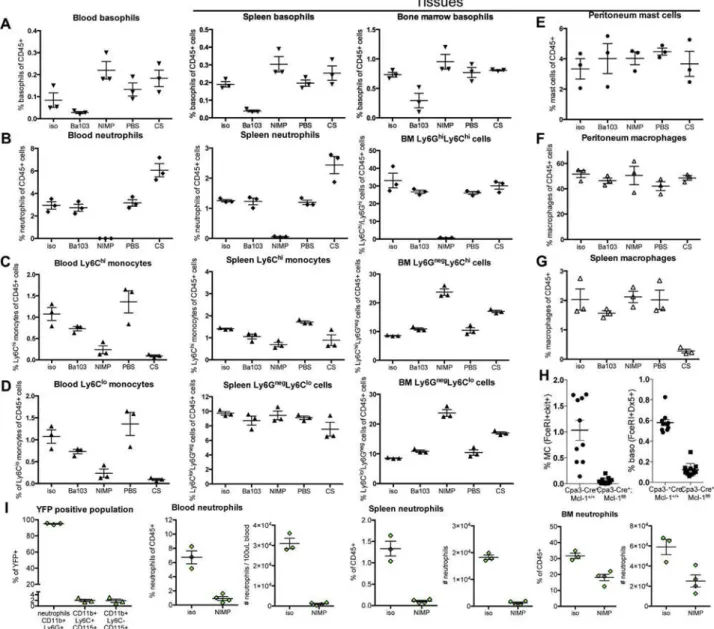 FIG E2. Effects of depletion strategies on myeloid cell populations: frequencies. WT mice were treated with indicated reagents