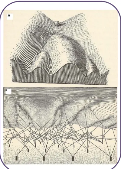 Figure 7. Illustration de la notion de « paysage épigénétique».  