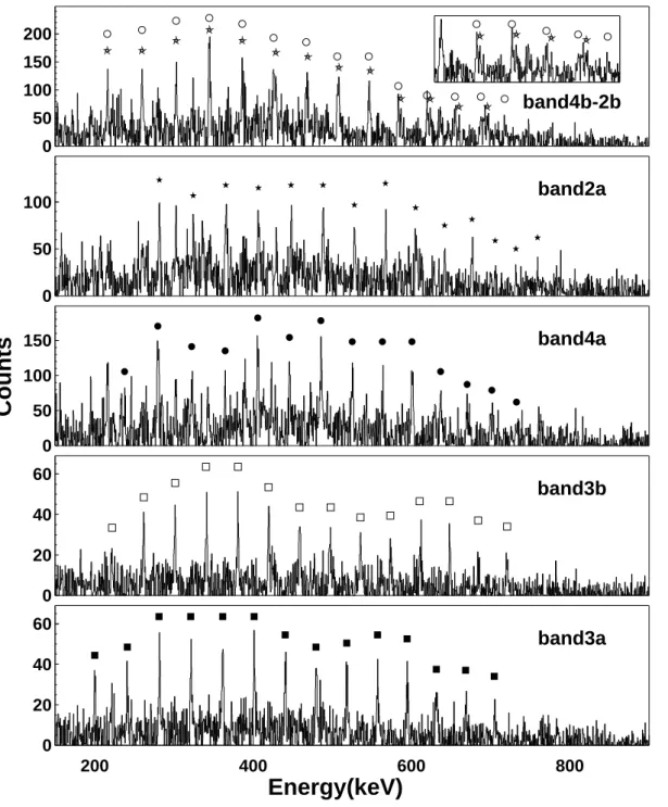 Fig. 2.7 – Spectres des nouvelles bandes superdéformées découvertes lors de notre expérience