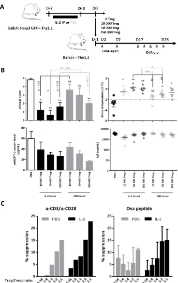 Figure 13 : le traitement par IL-2 confère une meilleure activité suppressive aux Treg