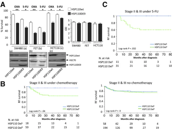 Figure 3. (A) Left panel: chemosensitivity assay using stably transfected MSI (HCT116) and MSS (SW480, FET) CRC cell lines that overexpressed HSP110wt or HSP110DE9 protein