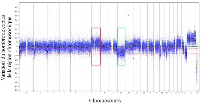 Figure 11 : Le profil chromosomique mesuré par CGH array d’un GBM.  