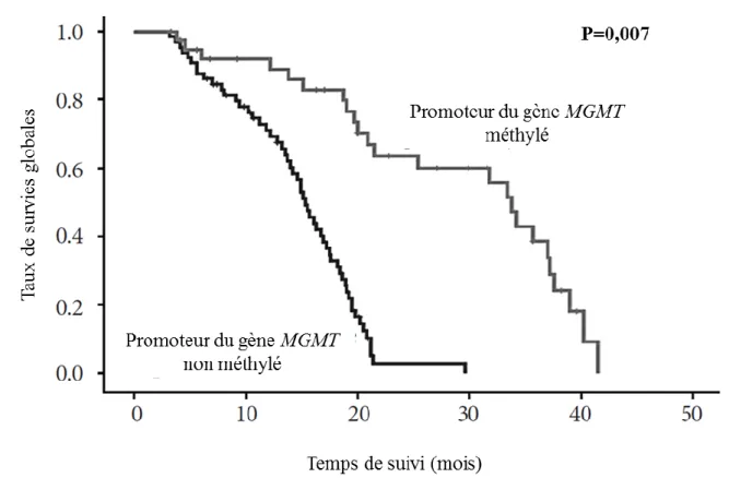 Figure 13 : L’impact de la méthylation du promoteur de MGMT sur la survie des patients  atteints de GBM