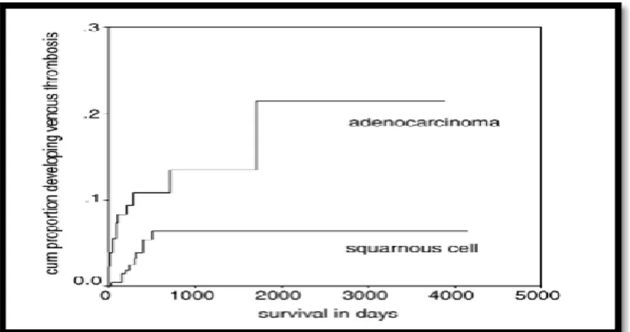 Figure 1-8 : Proportion cumulative de thrombose veineuse chez les patients atteints d'un carcinome  épidermoïde vs adénocarcinome 