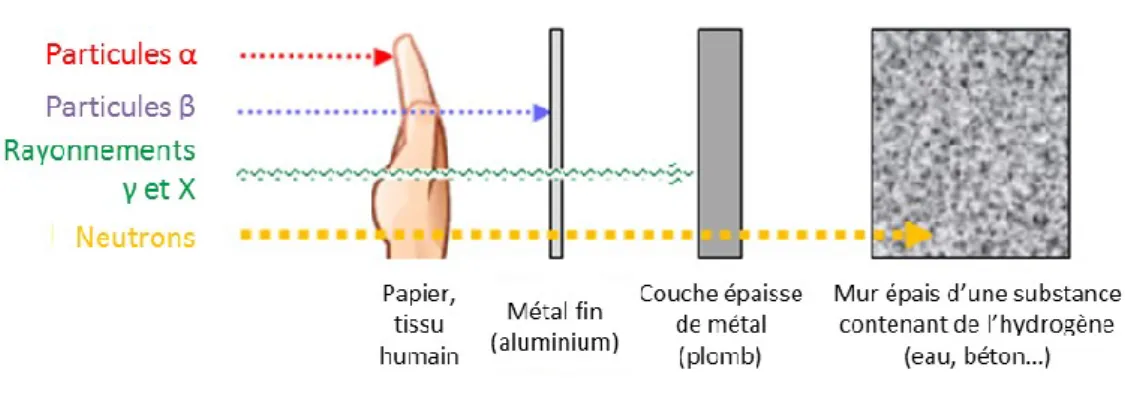 Figure 1 : pouvoir de pénétration des différents types de rayonnements ionisants 
